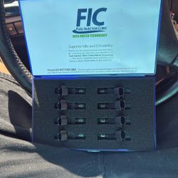 Fuel Injectors Clinic 