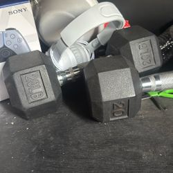 Dumb Bells 20 Pounds 