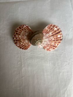 Seashell hair clips handmade