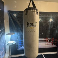 Punching Bag 