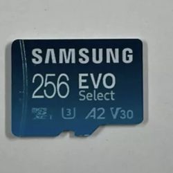 Micro Sd Card Samsung 256gb