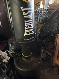 Everlast Powercore Standup Bag