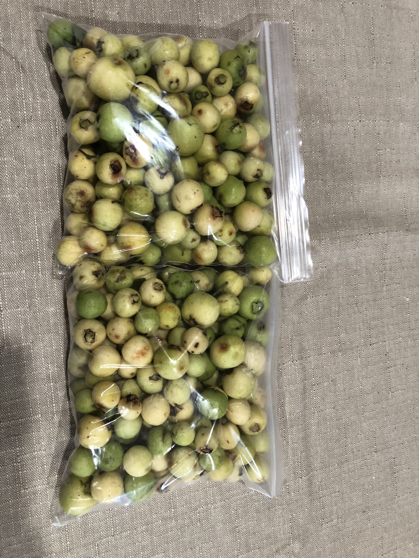 arrayanes mexican fruit