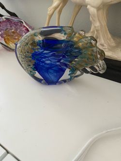 Glass fish
