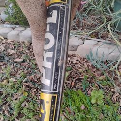 Bat 27" 22 oz ($5 If you pick up today!)