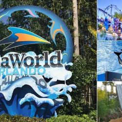 Sea World -Aquatica- Busch Gardens Tickets