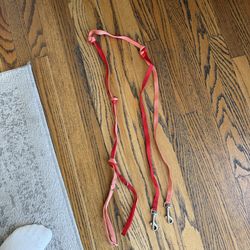 2 dog leashes (for small dog)
