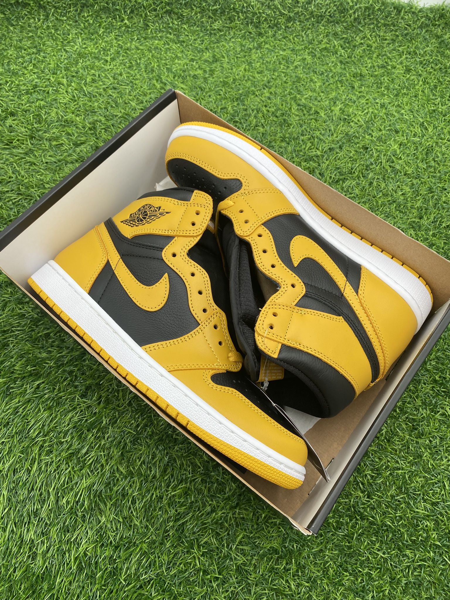 New Jordan 1 “Pollen” Size 9M