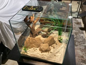 Rimless Cube Aquarium & Stand