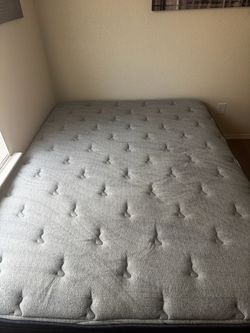 Serta queen bed with box