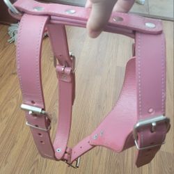 Xl Dog Harness