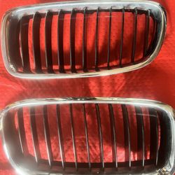 BMW Grill OEM