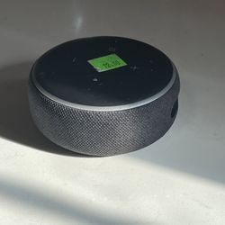 Echo dot Alexa