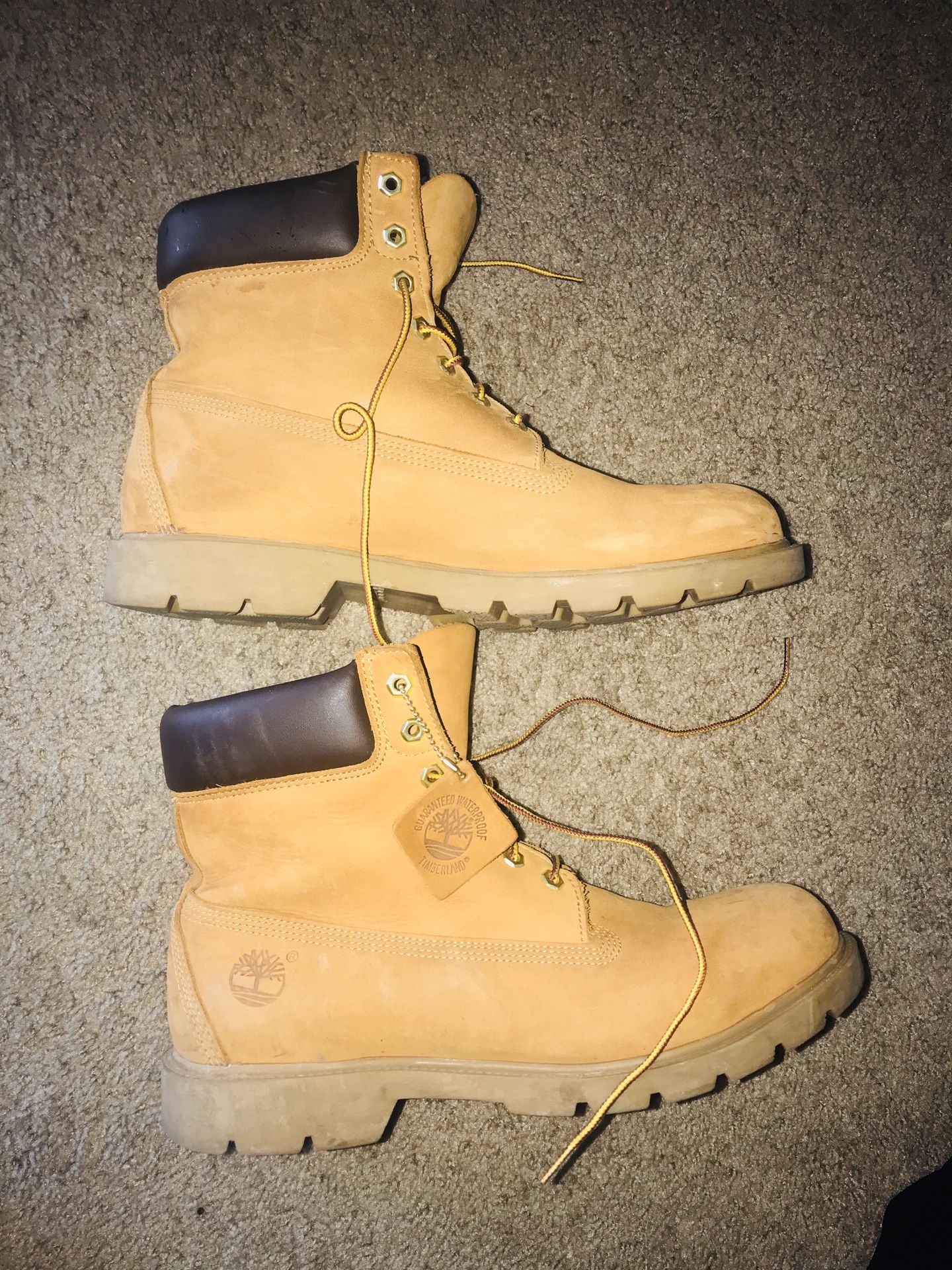 Timberland’s Size 12 Men’s