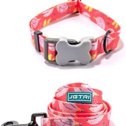 Dog Collar and Leash Set Combo Safety and Soft Set - Adjustable Collar，Matching Leash for Daily Outdoor Walking Running Training Small 12-15 inches
