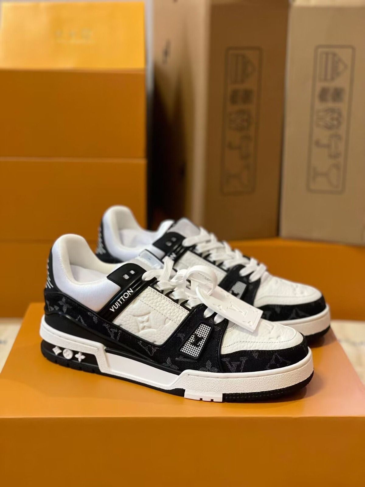 LV Trainer Shoes