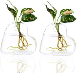 2 Pk Wall Hanging Glass Planter Terrarium Plant Propagation Station Heart Shape Vase for Hydroponic