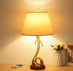 The bedside lamps ($10 each)