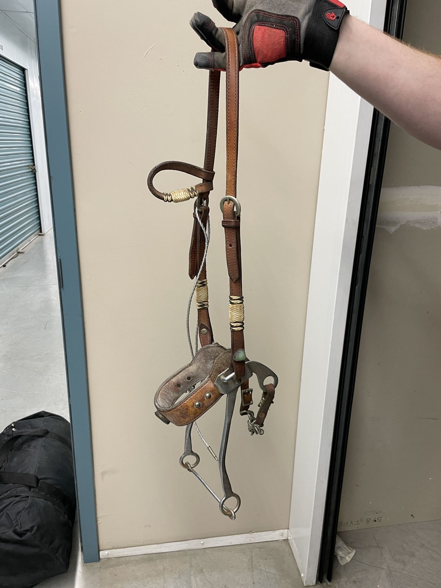Horse Bridle