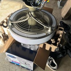 Fan 
