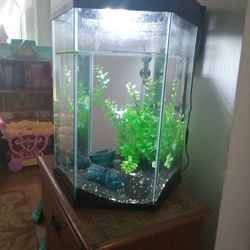 55 Gallon fish tank with accessories 