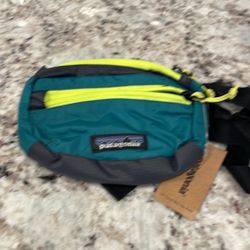 Patagonia Fanny Pack Unisex Bag