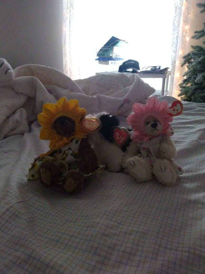 Ty Flower Bears And Dog
