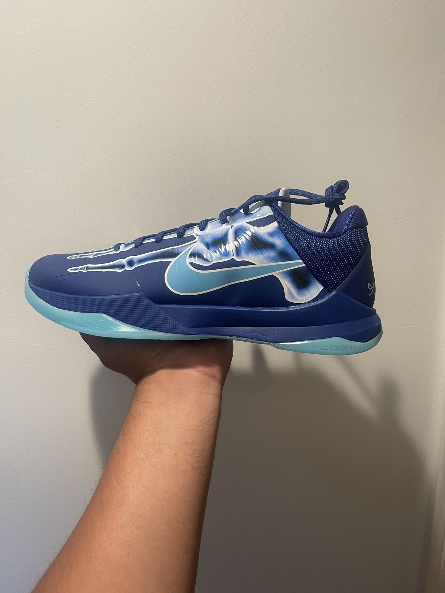 Kobe 5 X-Ray