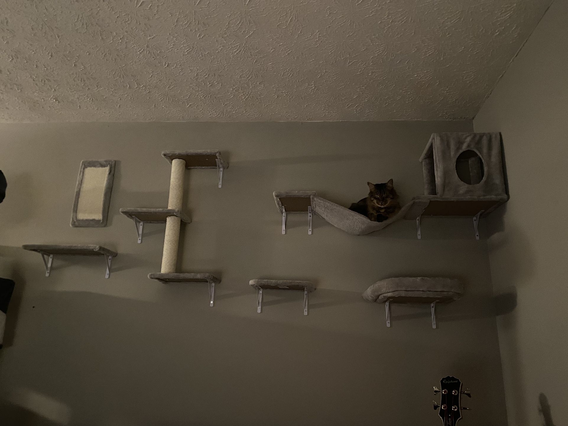 Cat Wall Pieces