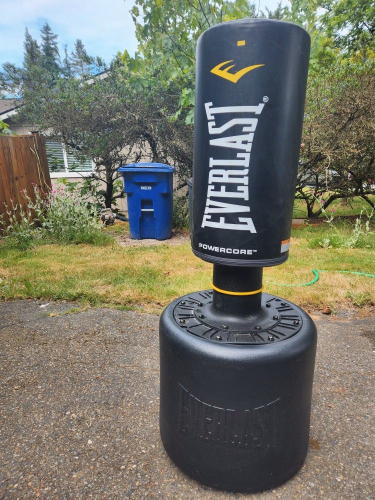 Everlast Punching/ Kicking Bag