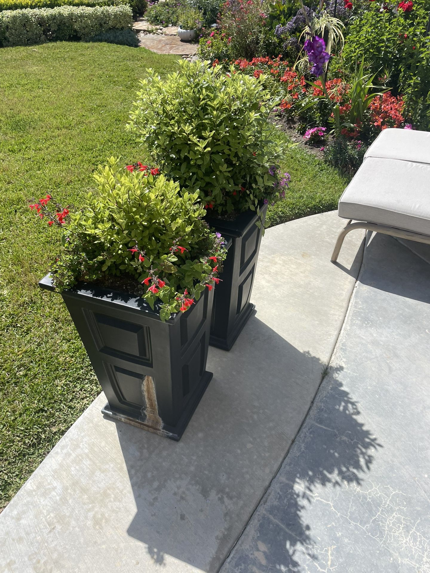 2 Black Garden Pots With Flowers.