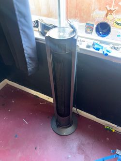 Fan