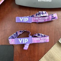 1 2025 EDC VIP Wrist Band 