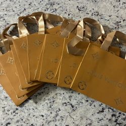 (10) Louis Vuitton LV Shopping Gift Bags  