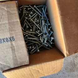  Screws 
