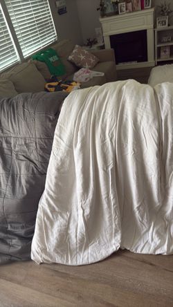 Comforters By Casa Luna