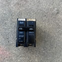 125 Amps 2 Poles Breaker