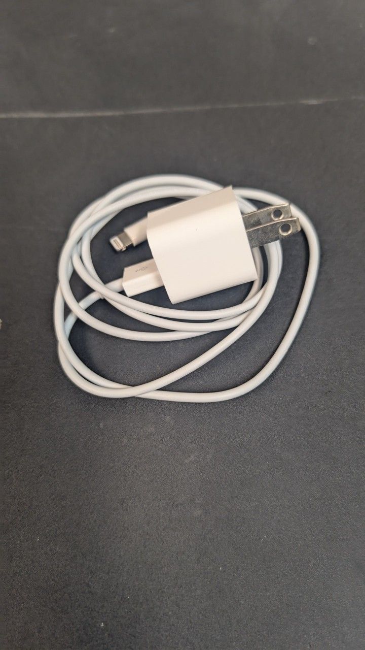 iPhone Charger