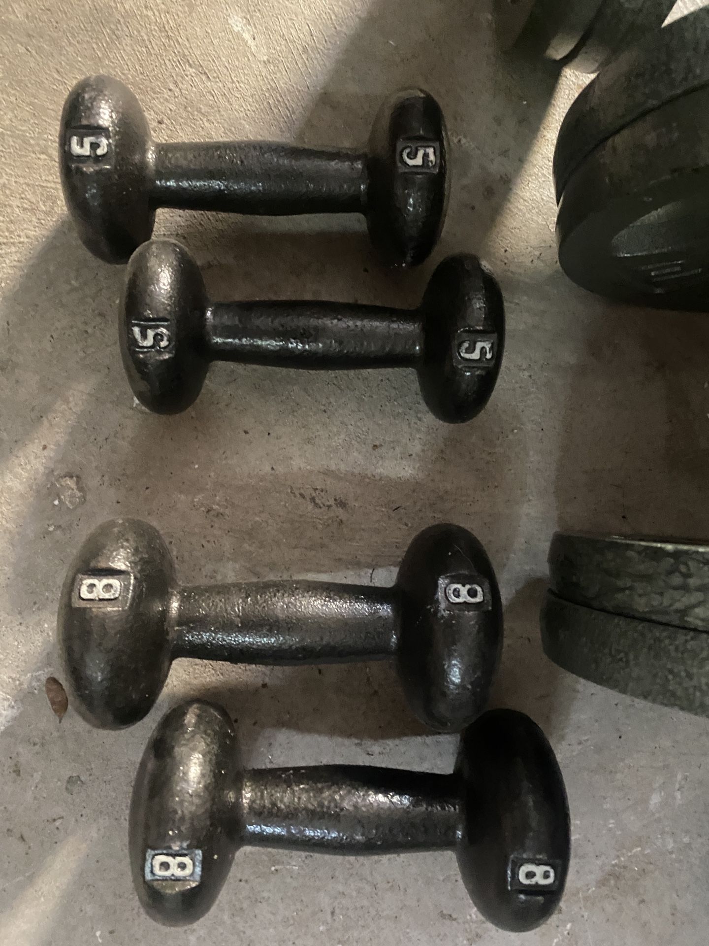 Weights 5lbs and 8lbs