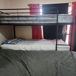 Bunk Bed Frame $100