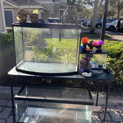 Fish/reptile Tanks For Sale
