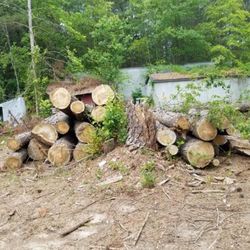 Free Precut Tree Logs