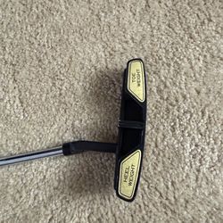AccuSite series putter