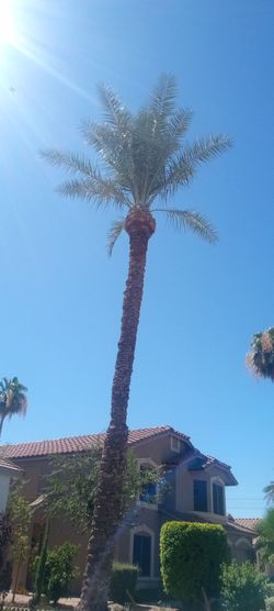 AZ hardscaper concrete 🏡🪨