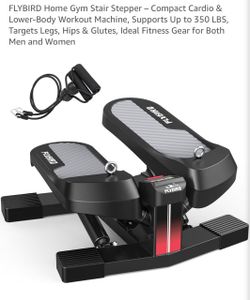 FLYBIRD Compact Home Gym Stair Stepper