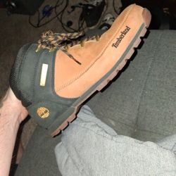 Timbs 10.5 