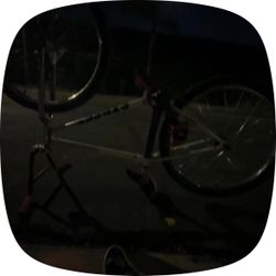 Street co 29er maxed out