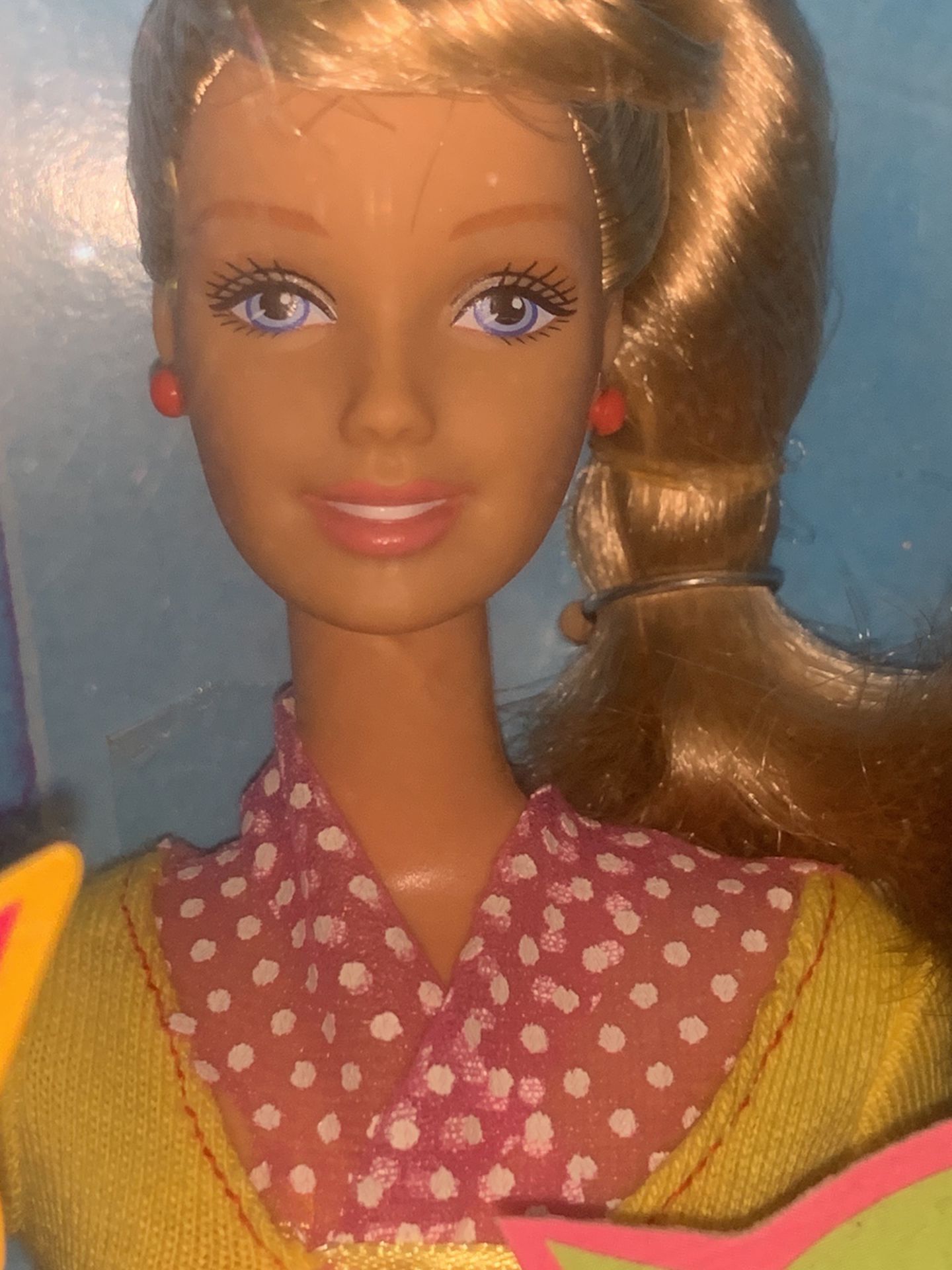 Spanish Teacher Barbie 2 Box Set
