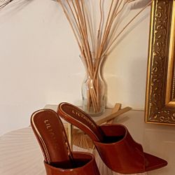 Chocolate Color Heels