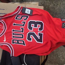 Jordan Bulls Nike Areoswift Jersey 